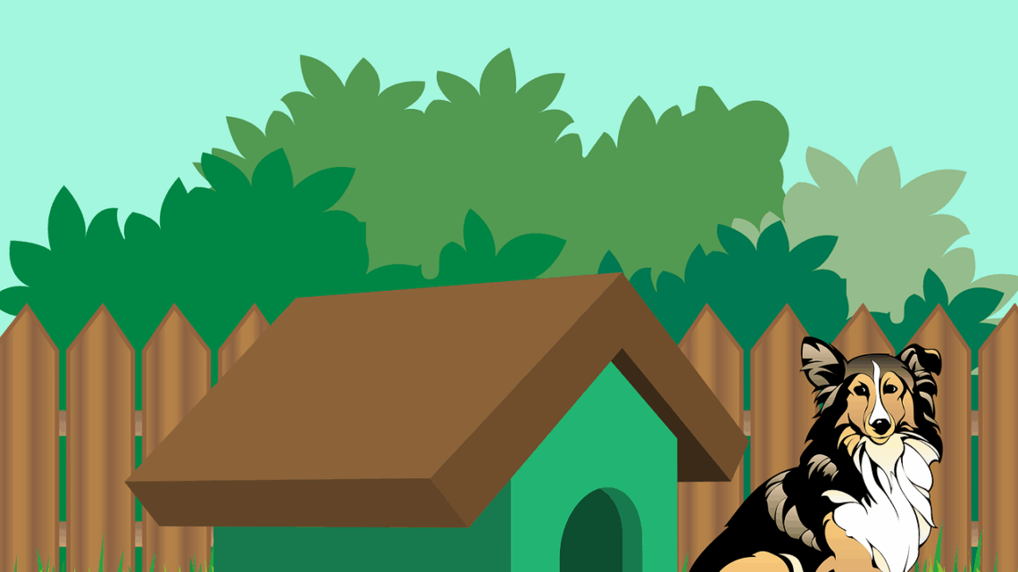 Die Hundehütte im Garten – an diese Dinge sollte man denken