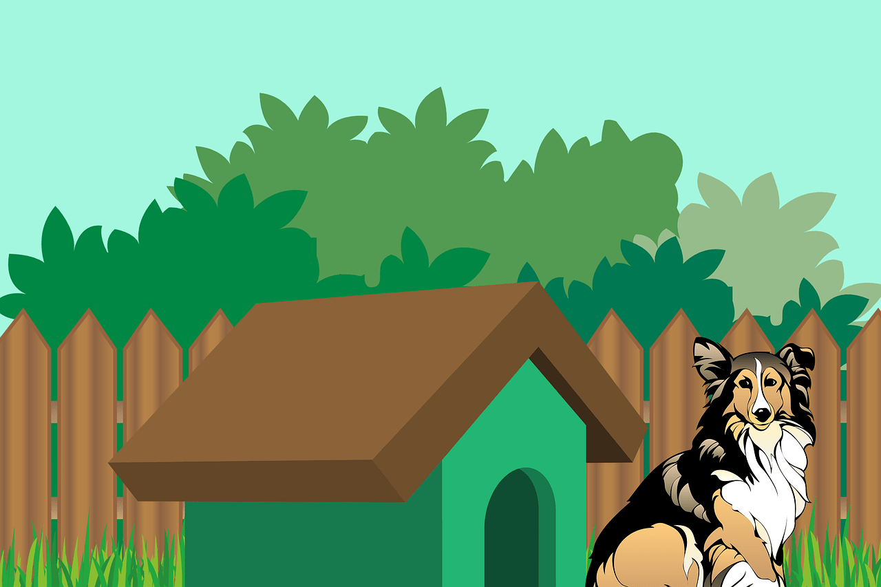 Die Hundehütte im Garten – an diese Dinge sollte man denken